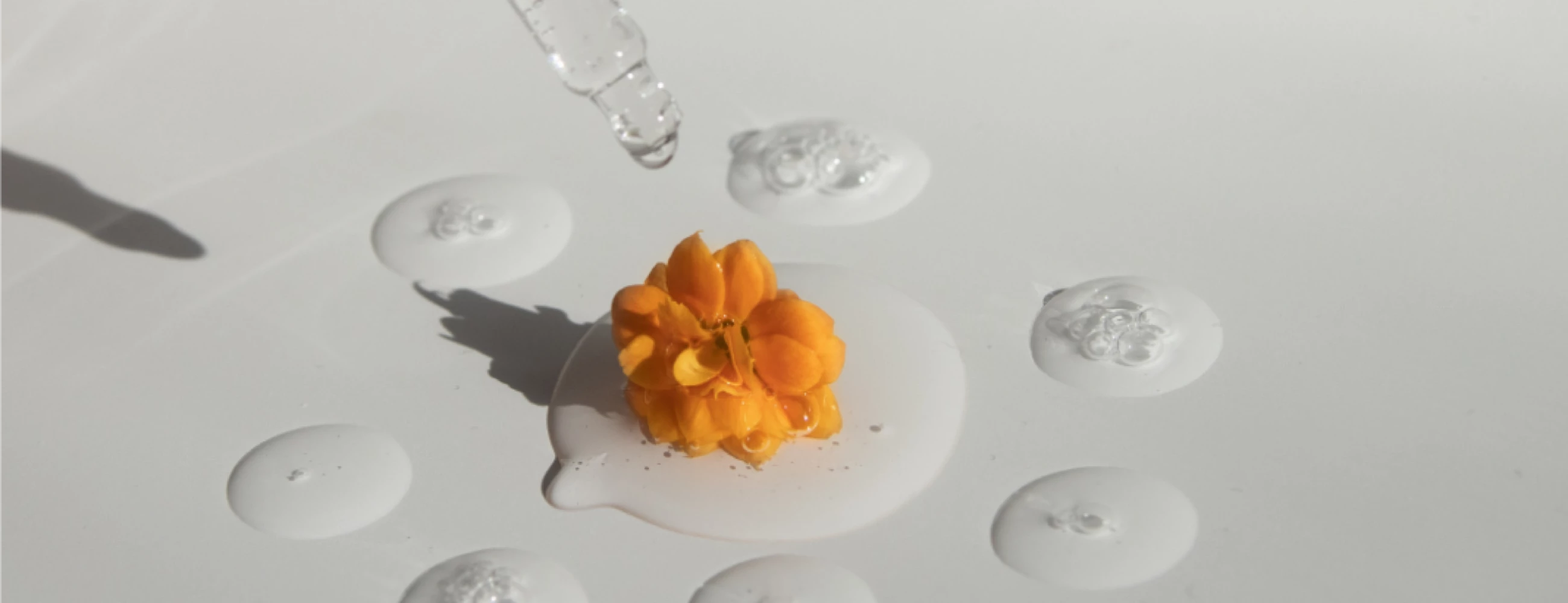 Regolare motilità gastro-intestinale con azione lenitiva